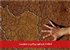 استفاده از طرح شهید زین‌الدین در محیط‌زیست